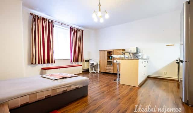 Pronájem bytu 1+kk 38 m², Viklefova, Praha 3 – Žižkov