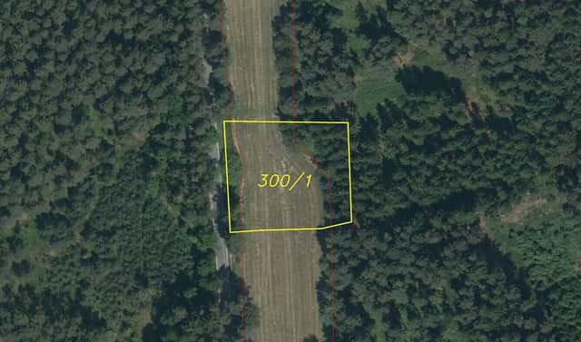 Prodej pozemku 2 495 m², Chlum u Třeboně – Mirochov, okres Jindřichův Hradec