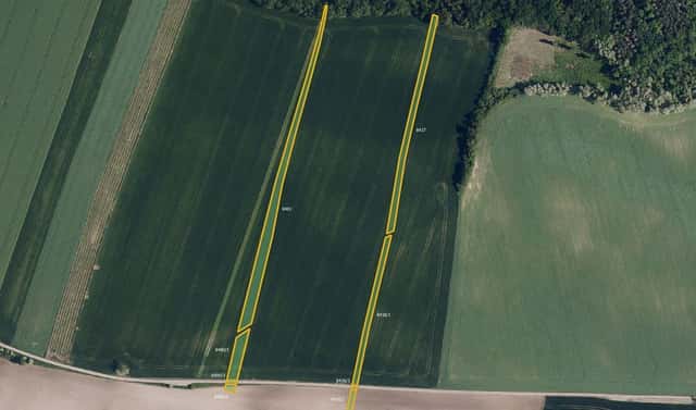Prodej pole 8 291 m², Borkovany, okres Břeclav