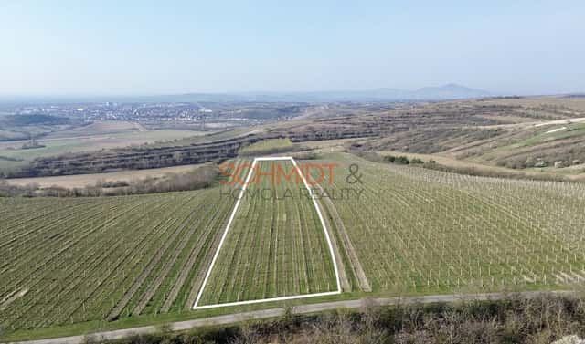 Prodej pozemku 11 748 m², Němčičky, okres Břeclav