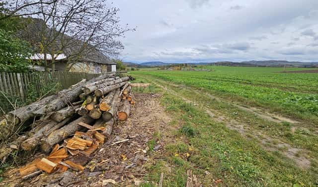 Prodej pole 1 577 m², Gruna, okres Svitavy