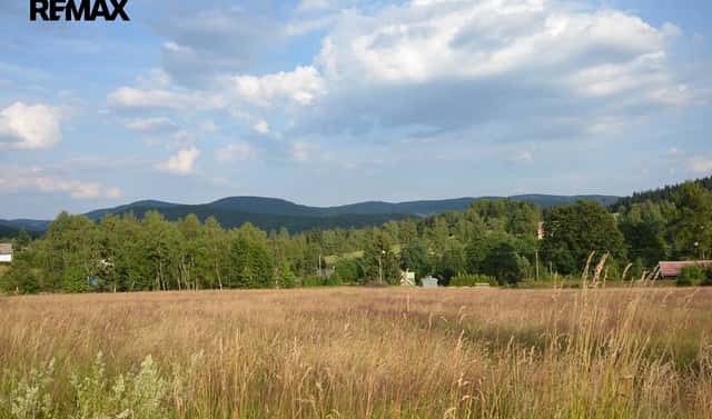 Prodej stavebního pozemku 4 424 m², Bublava, okres Sokolov