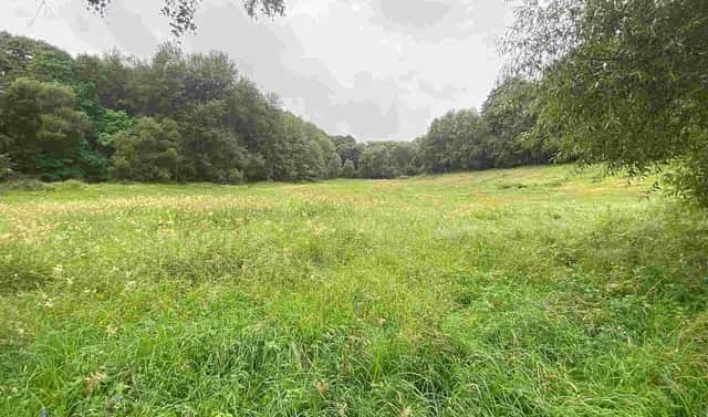Prodej pozemku 1 500 m², Úterý – Vidžín, okres Plzeň-sever