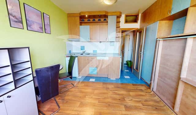 Pronájem bytu 1+kk 25 m², Sousedská, Plzeň – Lobzy, okres Plzeň-město