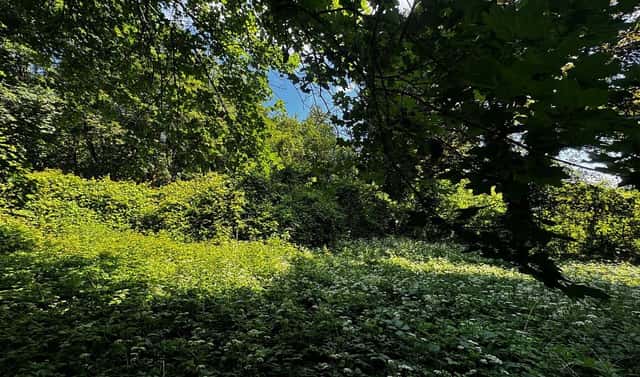 Prodej stavebního pozemku 7 834 m², Tiché údolí, Roztoky, okres Praha-západ