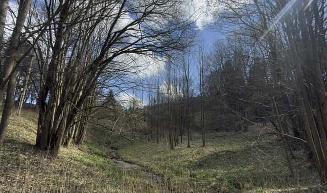 Prodej louky 9 974 m², Výprachtice, okres Ústí nad Orlicí
