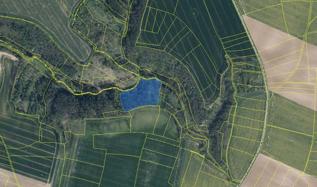 Prodej lesa 14 454 m², Mělnické Vtelno – Drnovice, okres Mělník