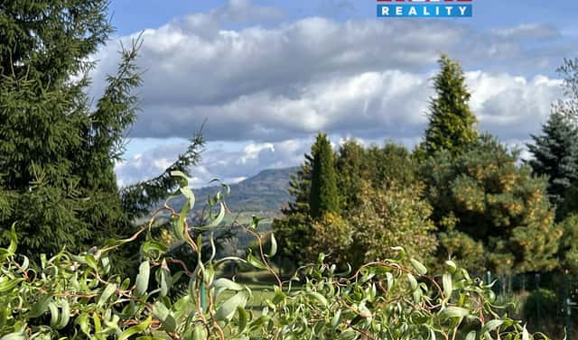 Prodej chaty/chalupy 18 m² s pozemkem 5 800 m², Velké Poříčí, okres Náchod