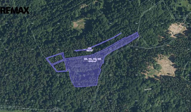 Prodej lesa 8 533 m², Staré Sedliště, okres Tachov