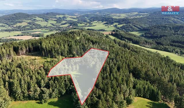 Prodej lesa 15 707 m², Petrovice u Sušice – Maršovice, okres Klatovy