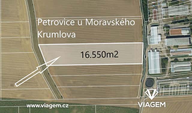 Prodej pole 5 516 m², Petrovice, okres Znojmo