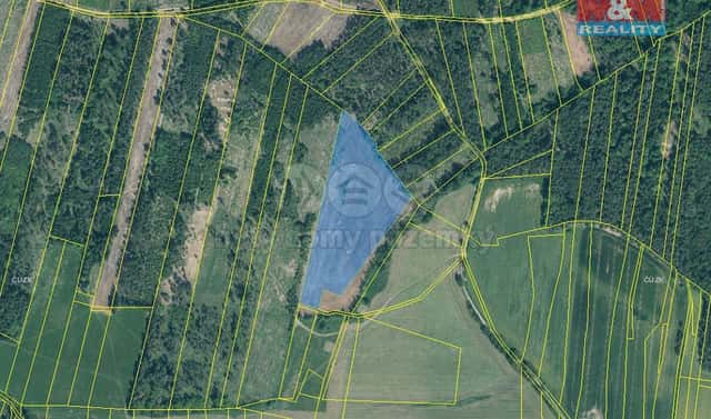 Prodej lesa 32 445 m², Jetětice, okres Písek