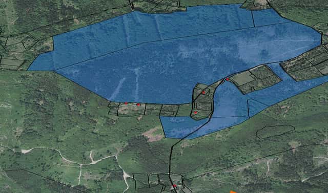 Prodej lesa 13 633 m², Bukovec, okres Frýdek-Místek
