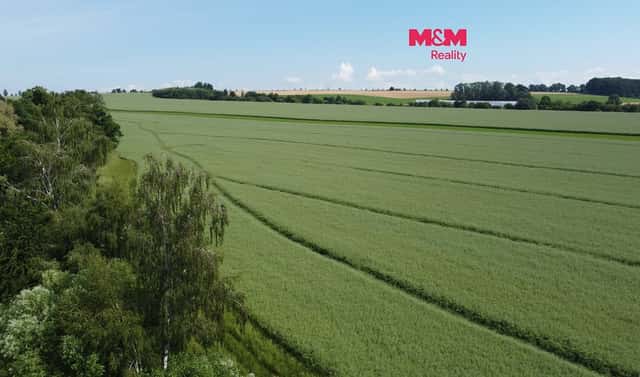 Prodej pole 99 905 m², Markvartice, okres Jičín