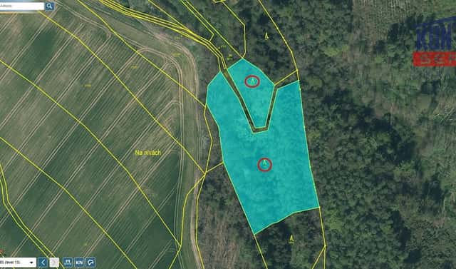 Prodej lesa 23 812 m², Bečice, okres Tábor