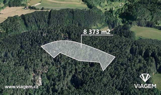 Prodej lesa 2 093 m², Mírová pod Kozákovem, okres Semily