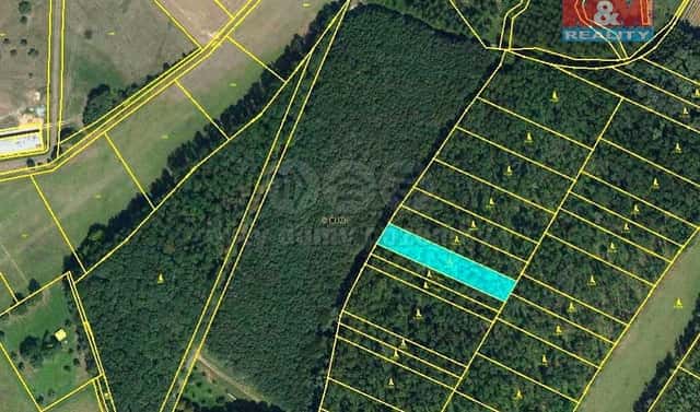 Prodej lesa 1 476 m², Uherčice, okres Břeclav