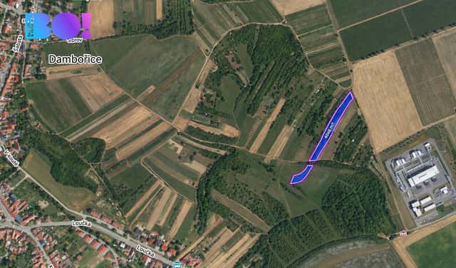 Prodej pole 4 046 m², Dambořice, okres Hodonín