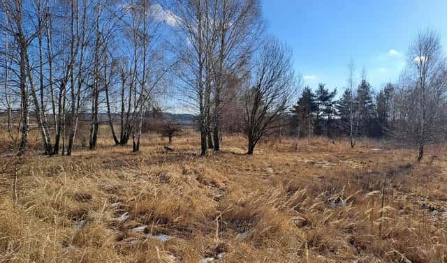 Prodej komerčního pozemku 15 899 m², Šafov, okres Znojmo