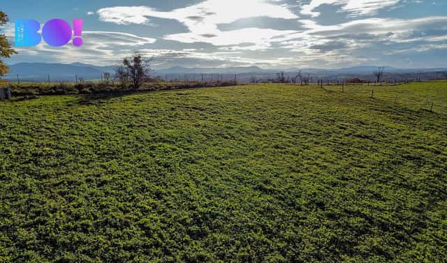 Prodej stavebního pozemku 4 357 m², Těrlicko, okres Karviná