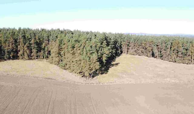 Prodej pozemku 4 563 m², Tisová – Kumpolec, okres Tachov