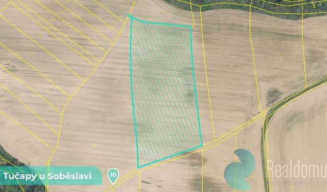 Prodej louky 11 561 m², Tučapy, okres Tábor