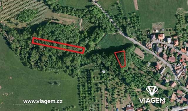 Prodej lesa 2 756 m², Velký Ořechov, okres Zlín