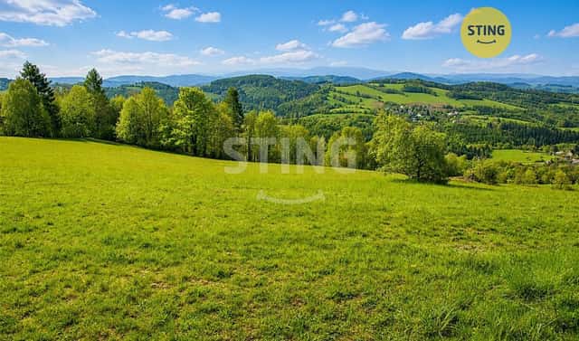 Prodej lesa 18 548 m², Jakubovice, okres Šumperk