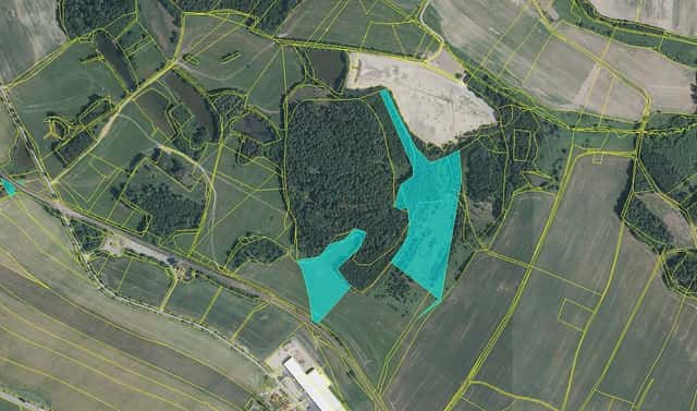 Prodej louky 54 908 m², Jindřichův Hradec – Děbolín