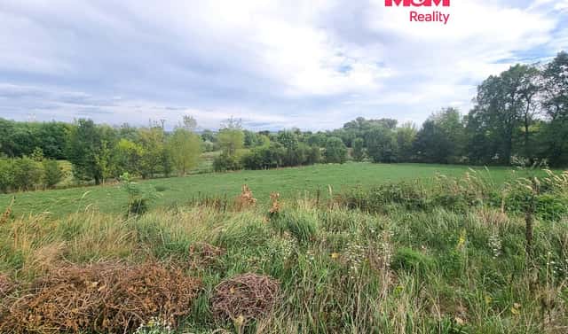 Prodej pole 5 348 m², Vítězná, Rohatec, okres Hodonín