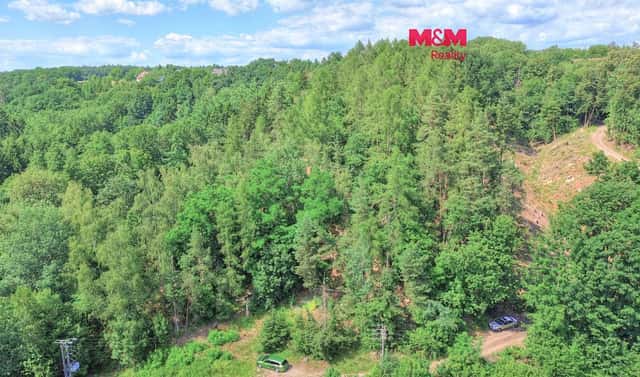 Prodej lesa 32 996 m², Ohnišov – Zákraví, okres Rychnov nad Kněžnou
