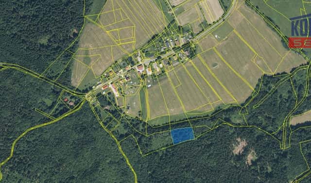 Prodej lesa 6 298 m², Mnichov – Vranov, okres Domažlice