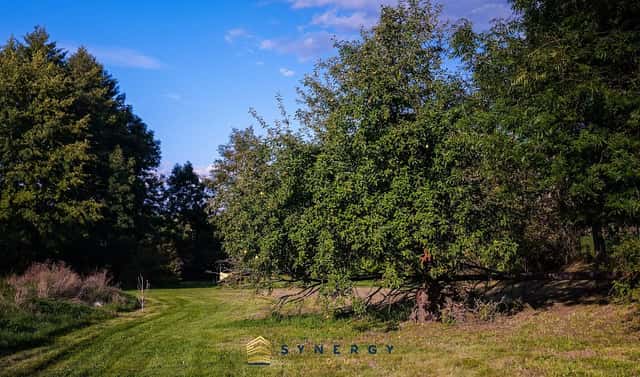 Prodej stavebního pozemku 7 684 m², Velemín – Milešov, okres Litoměřice
