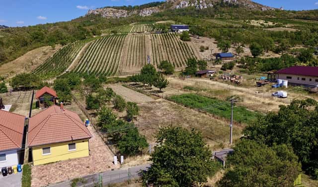 Prodej stavebního pozemku 916 m², Bavory, okres Břeclav