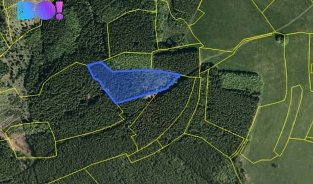 Prodej lesa 6 240 m², Huslenky, okres Vsetín
