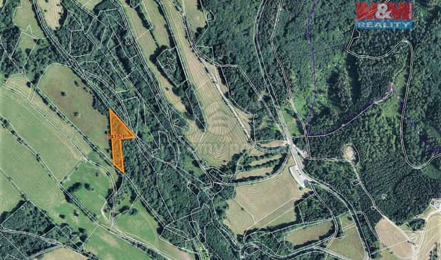 Prodej lesa 7 083 m², Trutnov