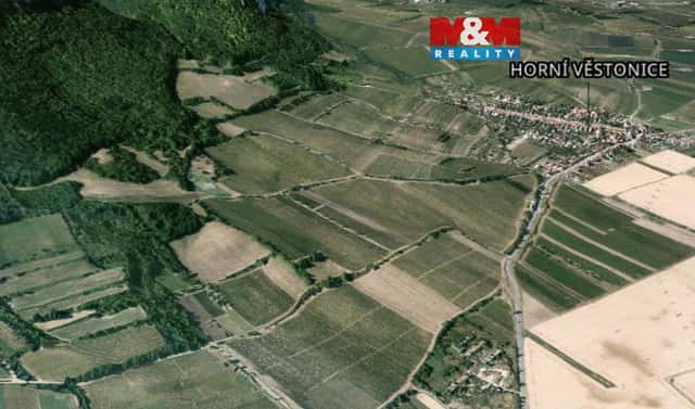 Prodej pole 4 000 m², Horní Věstonice, okres Břeclav