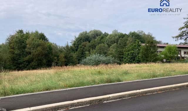 Prodej stavebního pozemku 3 927 m², Aš, okres Cheb