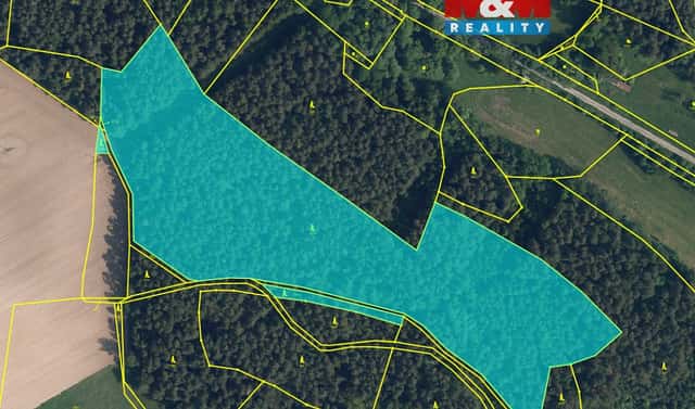 Prodej lesa 35 696 m², Bílá – Chvalčovice, okres Liberec