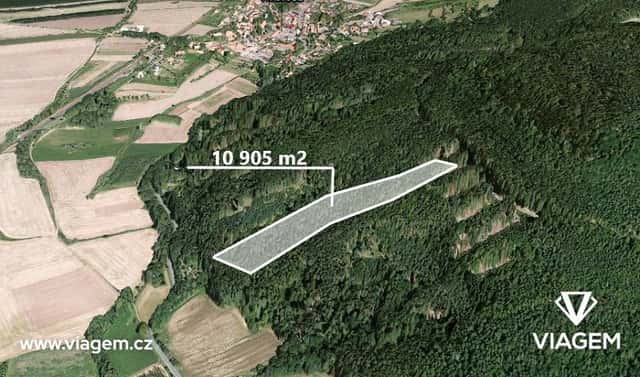 Prodej lesa 5 452 m², Hřivice, okres Louny
