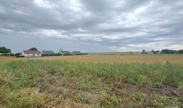 Prodej stavebního pozemku 1 242 m², Doňov, okres Jindřichův Hradec