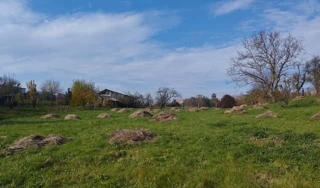 Prodej stavebního pozemku 4 411 m², Holubice, okres Vyškov