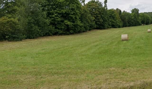 Pronájem louky 7 945 m², V Lukách, Nespeky – Městečko, okres Benešov