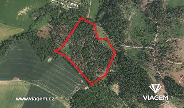 Prodej lesa 3 762 m², Katov, okres Brno-venkov