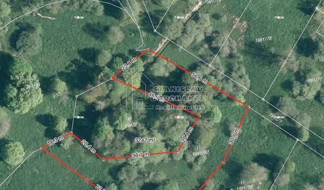Prodej stavebního pozemku 4 929 m², Nová Ves, okres Sokolov