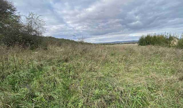 Prodej stavebního pozemku 1 651 m², Javorník – Horní Hoštice, okres Jeseník