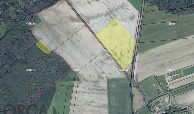 Prodej pole 2 916 m², Arnoltice, okres Děčín