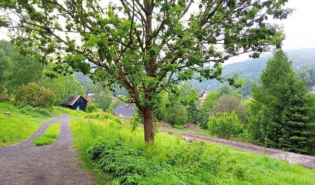 Prodej stavebního pozemku 2 111 m², Hutní, Desná, okres Jablonec nad Nisou