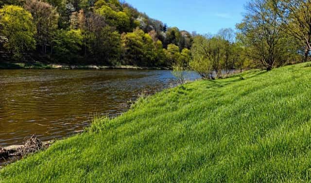 Prodej zahrady 5 059 m², Nižbor, okres Beroun
