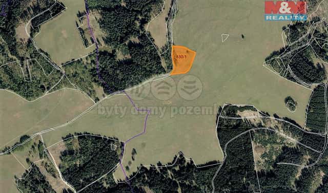 Prodej louky 8 556 m², Březová, okres Sokolov